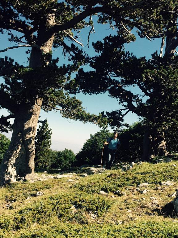 Hotel La Stella Del Pollino San Lorenzo Bellizzi Zewnętrze zdjęcie