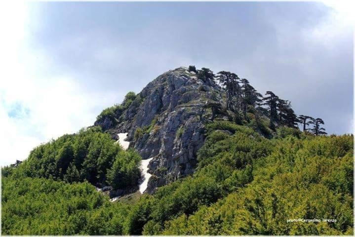 Hotel La Stella Del Pollino San Lorenzo Bellizzi Zewnętrze zdjęcie